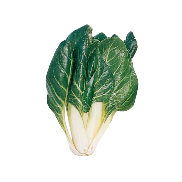 Biete Costa Agronocerino