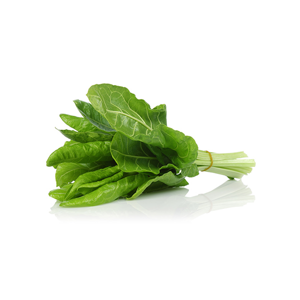 Bietoline Agronocerino