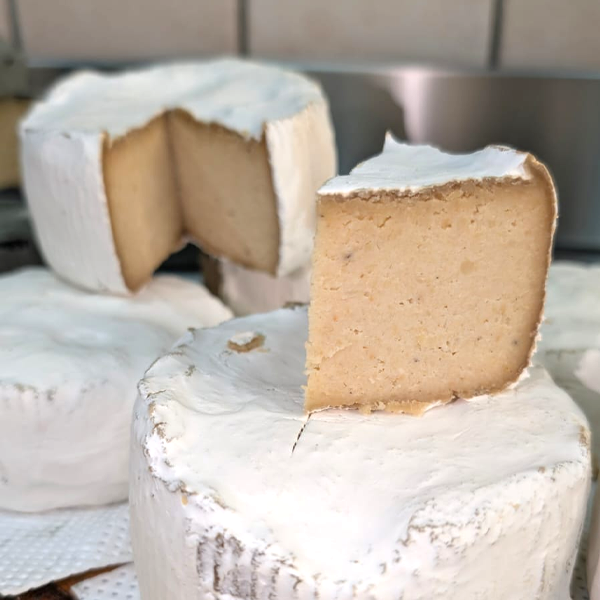 Caciotta Anacardi e Brie