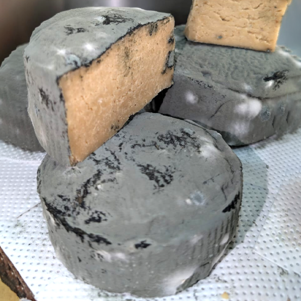 Caciotta Anacardi e Gorgonzola