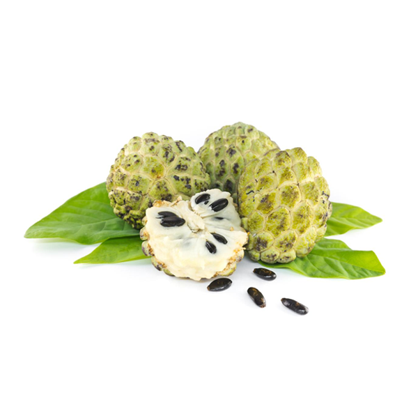 Cherimoya Andalusia