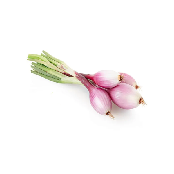 Cipollotti Freschi Tropea