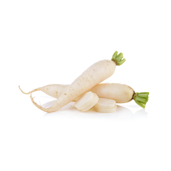 Daikon Terracina