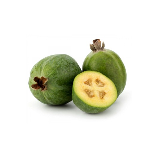 Feijoa Pozzuoli