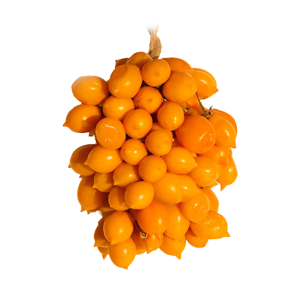 Pomodori del Piennolo Arancioni