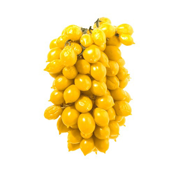 Pomodori del Piennolo Gialli