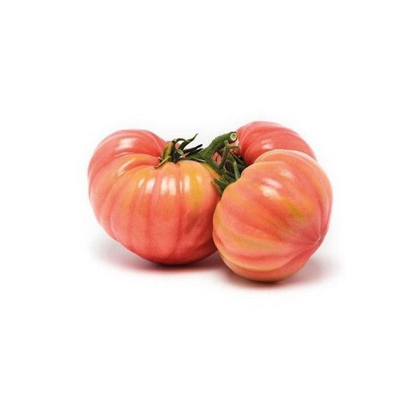 Pomodori Cuore di Bue