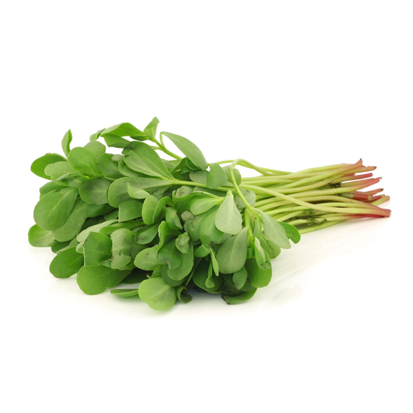 Portulaca Somma Vesuviana