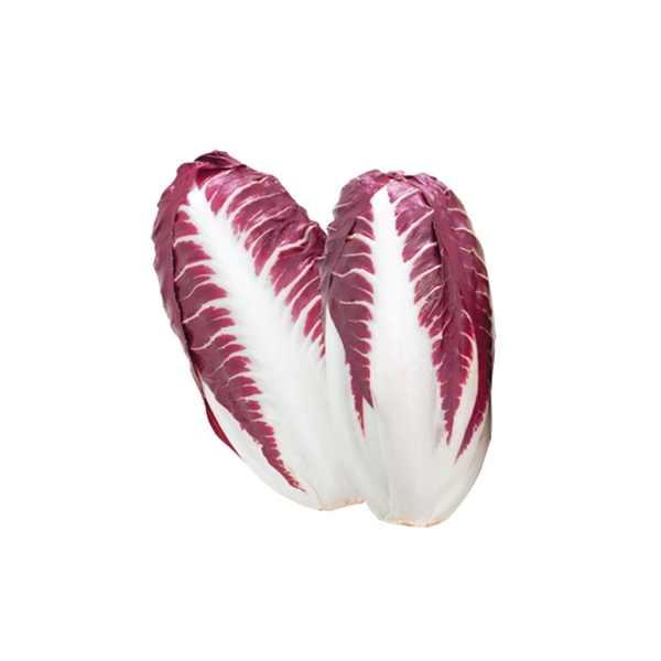 Radicchio Trevigiano Riccio