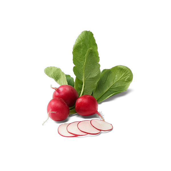 Ravanelli Agronocerino