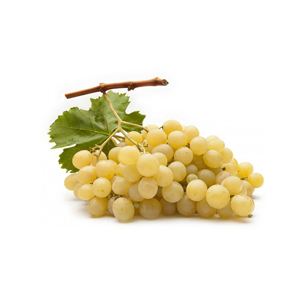 Uva Vittoria Sicilia