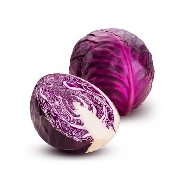 Verza Cappuccio Viola